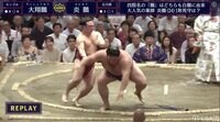 炎鵬、ひらり!