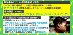 新型コロナのような“脅威”に？ 世界で感染拡大している「サル痘」とは 医師に聞く