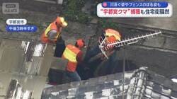 “宇都宮クマ”捕獲の瞬間　2頭以上いる恐れで住民不安