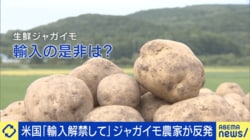 「誰も望んでないのに…」日米協議で“生鮮ジャガイモ”輸入解禁へ議論進む…病害虫の侵入リスクは？ 生産農家が語る本音「輸入しなければリスクはゼロ」