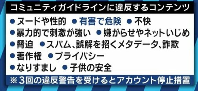 「もう大物は生まれない。YouTuberにはならない方がいい」”テレビ化”するYouTubeにラファエルが警鐘 5枚目