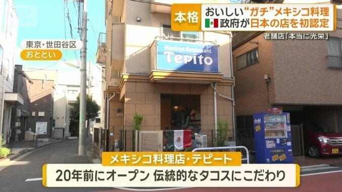 老舗メキシコ料理店・テピート