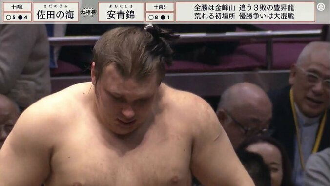 「絶対本物」と期待される安青錦