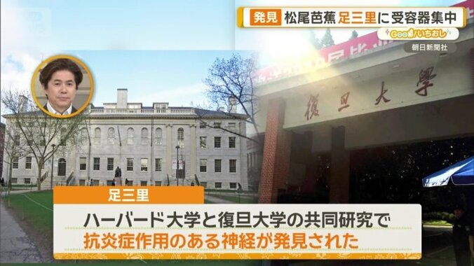 アメリカのハーバード大学と中国の復旦大学