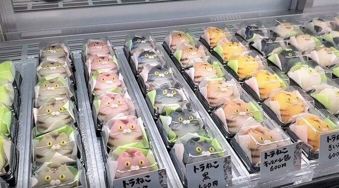 猫の中に一匹だけ“珍獣”発見！ 店主こだわりの儀式が「なぜ？」「断然ほしい」と話題 1枚目