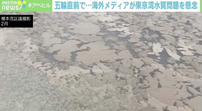五輪直前、東京湾の“水質問題”に専門家「他人事じゃないと認識して」海外メディアも懸念 1枚目