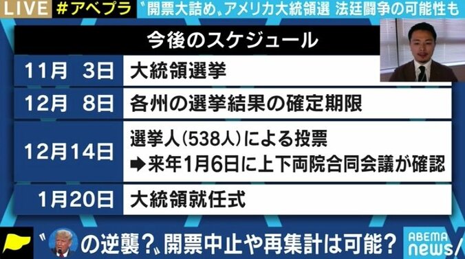 法廷闘争で引き延ばし、共和党が多数派を占める接戦州議会で逆転を目指す? トランプ大統領が狙うのは民主主義を脅かす“危うい”戦略か 3枚目