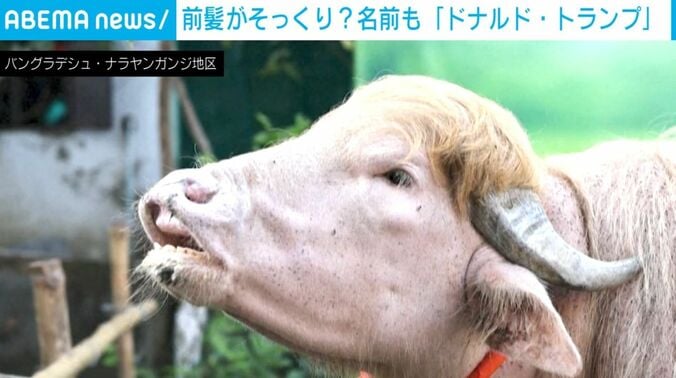 「ドナルド・トランプ」