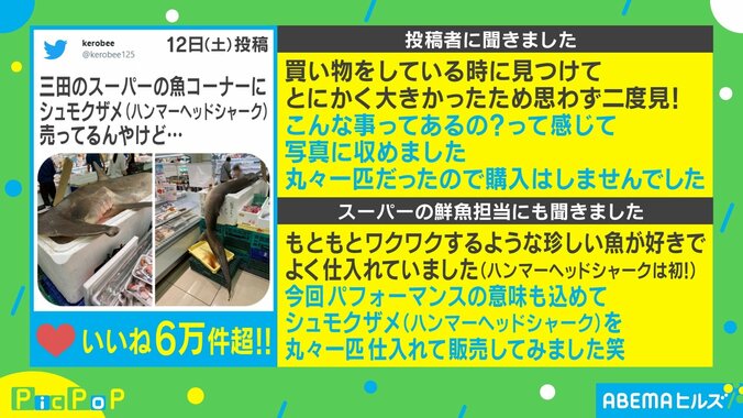 スーパーの鮮魚コーナーに“巨大サメ”!? 鮮魚担当者「結局丸々1匹を購入される方はいませんでした」 2枚目