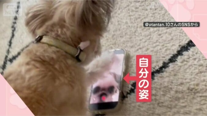 映っているのは自分！