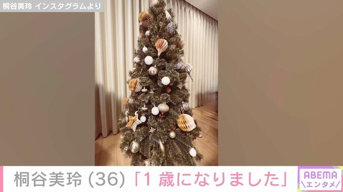 自宅を公開した桐谷美玲、リビングでくつろぐ愛犬の写真を公開「1歳になりました」 4枚目