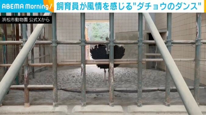 ブラッキーくん