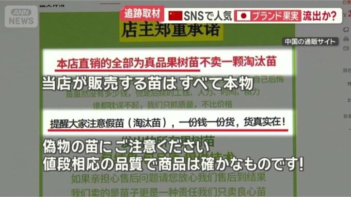 通販サイトの説明文