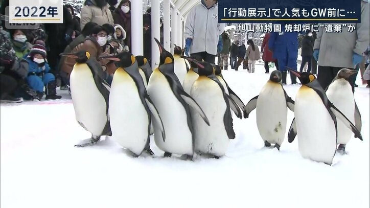 “行動展示”で話題に