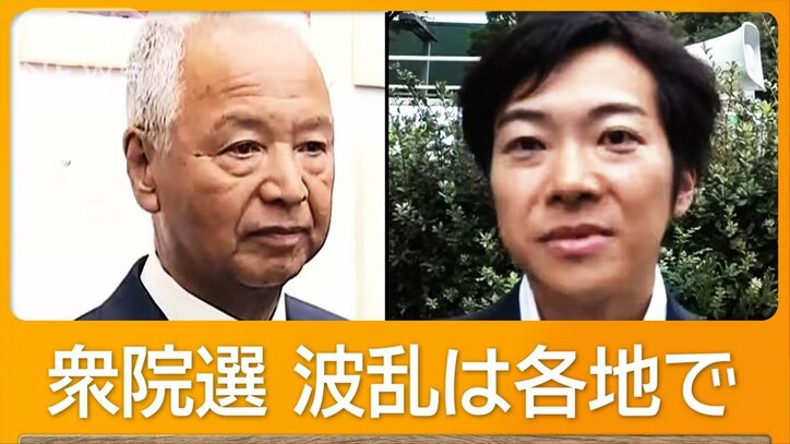 自民重鎮・甘利明氏、維新政調会長・音喜多駿氏が落選　立憲候補に敗れる