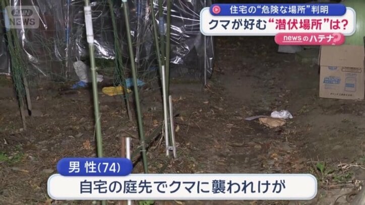 自宅の庭先でクマに襲われけが