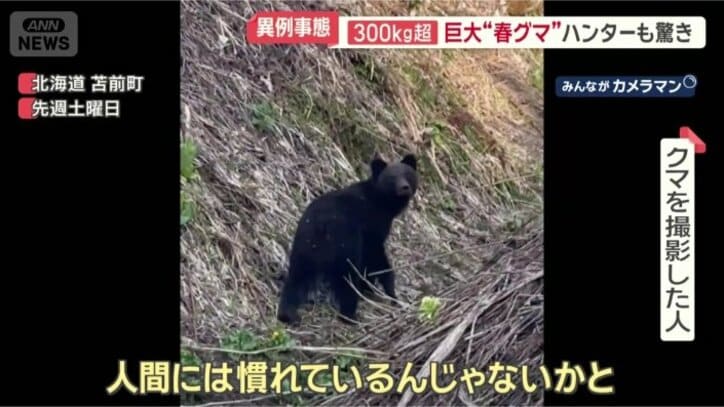 「逃げる感じではなかった」