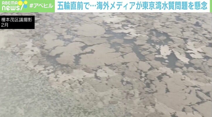 五輪直前、東京湾の“水質問題”に専門家「他人事じゃないと認識して」海外メディアも懸念