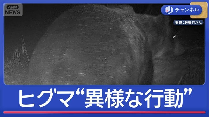 雪降るなか…400kg級ヒグマ“異様な行動” 駆除に警察官 ライフル銃使用を開始