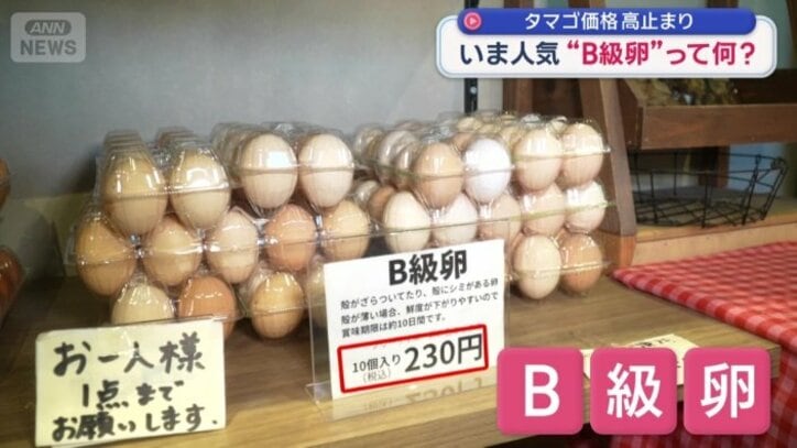 1パック10個入りで230円のB級卵