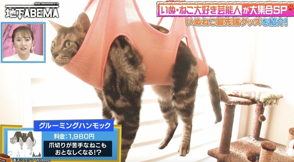 大人気!!猫ちゃんもまったり出来るハンモックついてます 猫用 大人気!!猫ちゃんもまったり出来るハンモックついてます 猫用