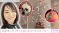 石田ゆり子、飾り付けが個性的な自宅のクリスマスツリーを公開