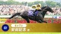安田記念2026完全ガイド！有力馬データとABEMA視聴方法