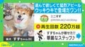 “ニッコニコの笑顔“でしっぽを振り回す柴犬にネット民悶絶「可愛いが限界突破…」「疲れ吹っ飛ぶｗｗ」