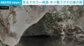 森を覆いつくす“白いモヤ”の正体とは…!? 蚊の大量発生が引き起こす数年に1度の異様な光景 エルサレム近郊