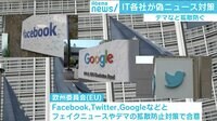 けやきヒルズ - 企画 - FBやTwitterなどが偽ニュース対策 日本も国民投票に影響!? (18/09/27) | 動画視聴は【Abemaビデオ(AbemaTV)】