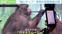“猿の脳にチップ” 衝撃の実験動画に賛否の声