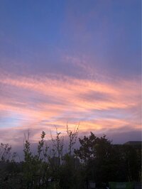 市川海老蔵『明日は』