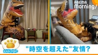 【映像】「シュールすぎる」イヌと“恐竜”の追いかけっこ