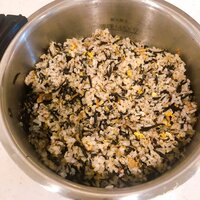 平野ノラ『朝方から』