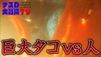 【映像】2日目:巨大タコVSナスD! 海中で勝つのは?