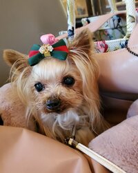 武東由美 『本当に、どうもありがとうございました』