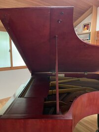 高橋真麻『40の手習い』