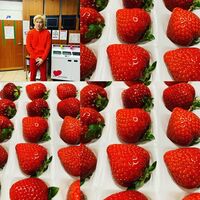 「粒揃いですネ」有吉弘行が公開した“いちごに囲まれたカズレーザー”が話題