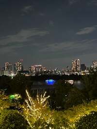 だいたひかる『夫婦喧嘩』