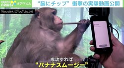 “脳にチップ” 神経科学者「念だけでYouTubeが見られるように」人工知能の未来