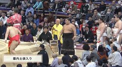 尊富士の“似合いすぎてる”化粧まわし（裏表）