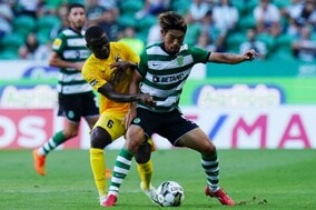 スポルティング、GK中村航輔が先発のポルティモネンセに4発快勝！　守田英正は61分までプレー