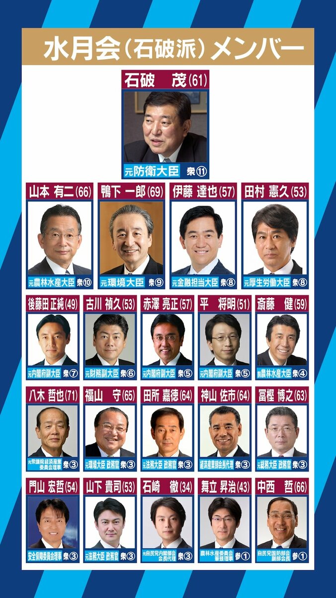 山下法相抜擢にまつわる憶測は「邪推」…石破派の広報担当・平将明衆院議員に聞く「全員野球内閣」 3枚目