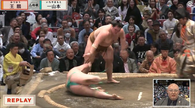 一山本の負け越しにお口あんぐりのレジーヌさん