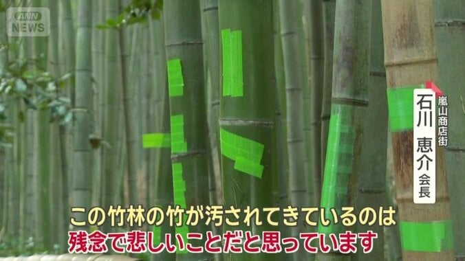 伐採の効果を見極めたうえで、今後の対策につなげる
