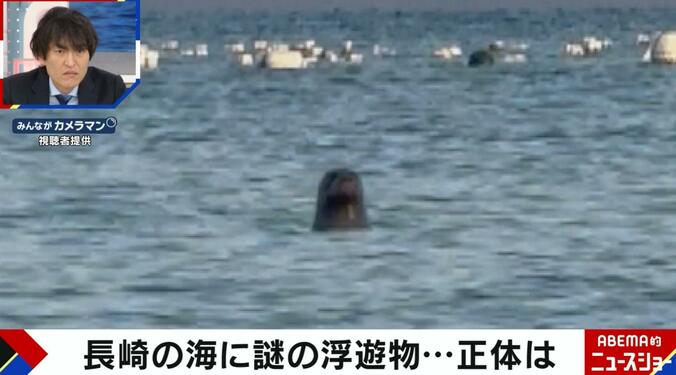 長崎の海に謎の浮遊物（視聴者提供）