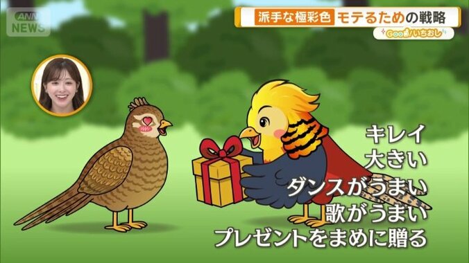 派手な色はメスにモテるため