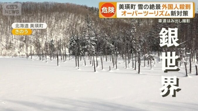 「青い池」も一面銀世界