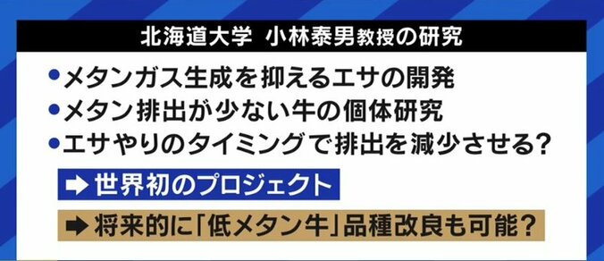 世界の温室効果ガスの4％分との試算もある「牛のゲップ」…脱炭素化の時代に“悪者扱い”の牛肉、食文化は失われずに済むのか? 8枚目