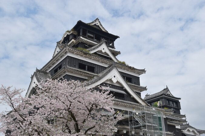 総工費600億円以上、工期20年…　地震から１年、前代未聞の大修復が始まる熊本城を取材 1枚目